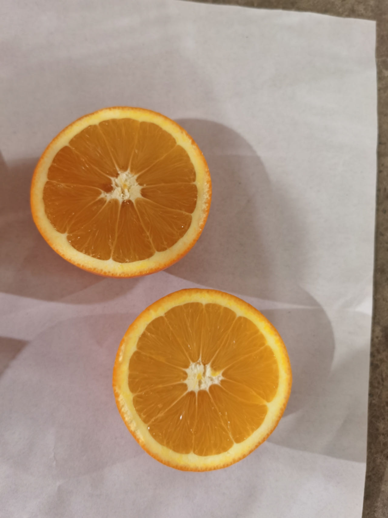 navel orange