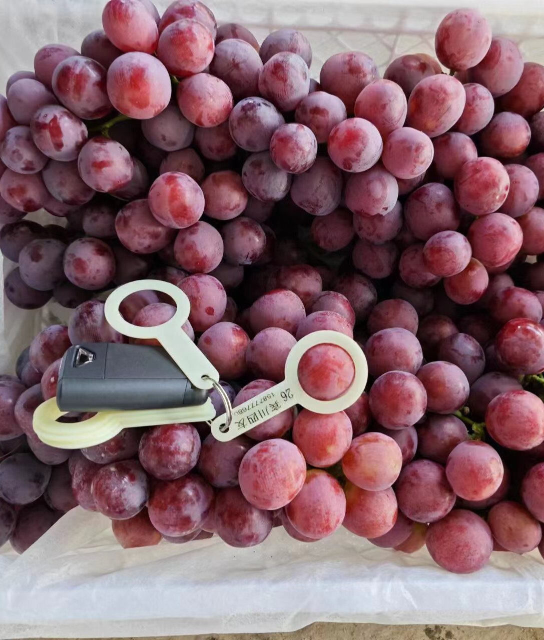 red grape